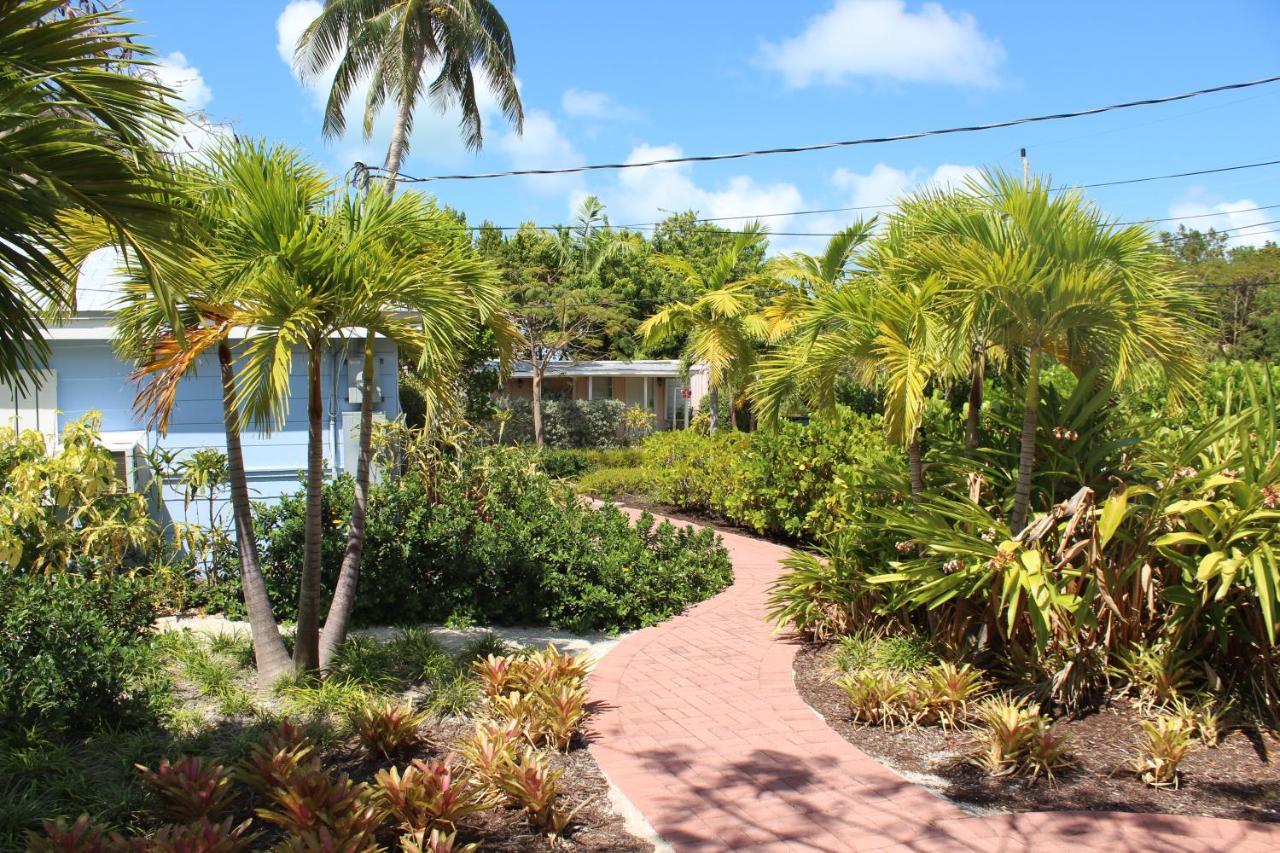 Tropical Marathon